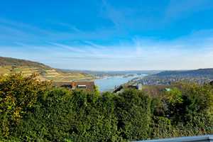 Oberste Hanglage mit Weitblick und Waldzugang: Repräsentatives freistehendes EFH – Mainz-Bingen (Kreis) – Vorschaubild 1