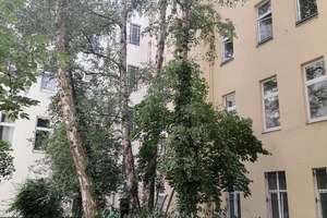 bezugsfreie wohnung – kaiser friedrich str 54, 10627 Charlottenburg, Berlin – Vorschaubild 13
