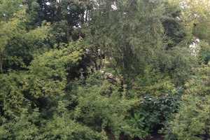 Ein schönes Heim in attraktiver Stadtlage mit Balkon. – Magdeburg – Vorschaubild 10