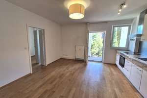 BOCKENHEIM - schön sanierte 2-ZW mit EBK, Parkett und Balkon