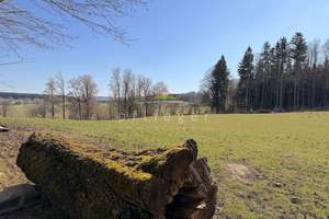 Hofstelle mit Herz und Charakter – 94065 Waldkirchen – Vorschaubild 6