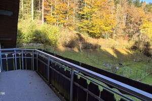 Für Naturliebhaber, freistehendes Haus plus Gewerbehalle in herrlicher Lage mitten im Wald – Die vollständige Adresse der Immobilie erhältst du vom Anbieter., 75323 Bad Wildbad – Vorschaubild 16