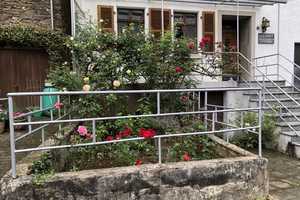 Charmantes Winzerhaus für Individualisten an der Mittelmosel mit großem Grundstück – Weidenborn 5, 54470 Bernkastel-Wittlich (Kreis) – Vorschaubild 2