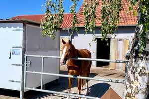 Pferdehof Reitanlage Wohnhaus Pferdestall  – Frankenstraße 9, 73441 Ostalbkreis – Vorschaubild 2