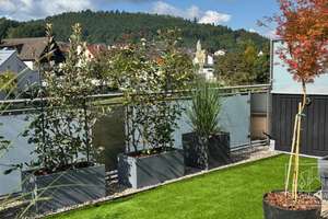Modernisiertes Raumwunder im Herzen von Fischbach – Wohnen mit Dachterrasse & Waldblick – Bitscher Straße 1, 66996 Fischbach bei Dahn – Vorschaubild 30