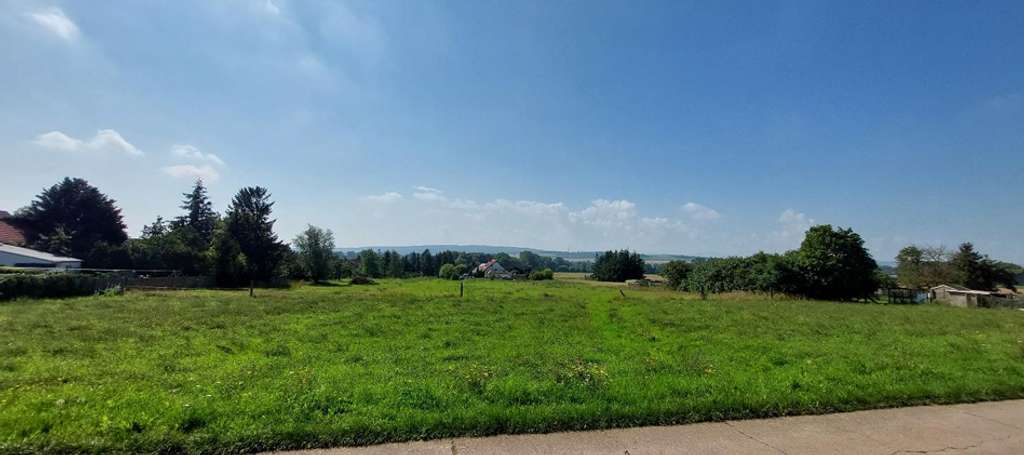 Immobilie in Tüttleben - Der Bungalow mit dem charmanten Walmdach in Hochheim – stufenlos glücklich sein - Bild 4