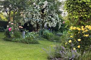 Ein Traum für Gartenliebhaber - Renoviertes Einfamilienhaus in Mitterfels – Die vollständige Adresse der Immobilie erhältst du vom Anbieter., 94360 Mitterfels – Vorschaubild 19