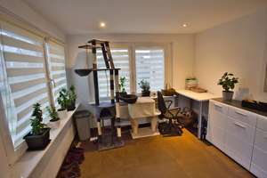 Familienidyll auf 4.278 m² Grundstück | Wohnhaus, Scheune & viel Platz für Ihre Ideen – Die vollständige Adresse der Immobilie erhältst du vom Anbieter., 17337 Groß Luckow – Vorschaubild 5