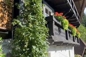 Traumhaftes Schwarzwaldhaus in Alleinlage – Leutschenbach 8, 78098 Schwarzwald-Baar-Kreis – Vorschaubild 1