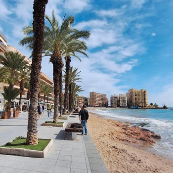 Renovierte Wohnung mit Terrasse, in der Provinz Alicante, in der Stadt Torrevieja, im Viertel Playa 
