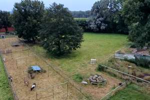 Tiere Willkommen! Der" Martinshof" 2.0 - Ein Anwesen im Landhausstil am Heiligen Meer in Hopsten ! – Die vollständige Adresse der Immobilie erhältst du vom Anbieter., 48496 Hopsten – Vorschaubild 8