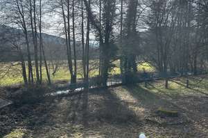 Herrschaftliche Villa im Elsass, 67420 Plaine – Die vollständige Adresse der Immobilie erhältst du vom Anbieter., 76227 Durlach, Karlsruhe – Vorschaubild 6