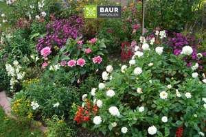 Bad Waldsee – Gartenstadt! Seltene Gelegenheit! Großes Wohnhaus auf großem Grundstück. – Die vollständige Adresse der Immobilie erhältst du vom Anbieter., 88339 Bad Waldsee – Vorschaubild 37