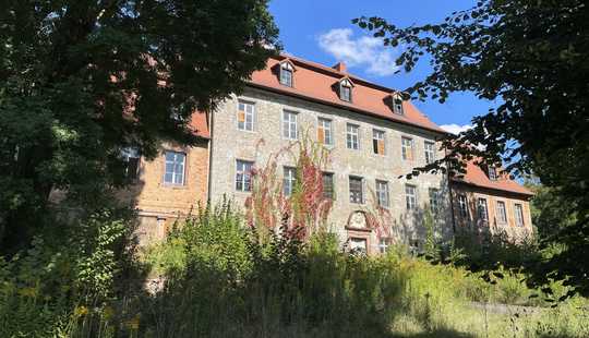 Bild von Denkmalobjekt für Bauträger - Wohnungsentwicklung im Schloss mit einzigartiger Parkanlage