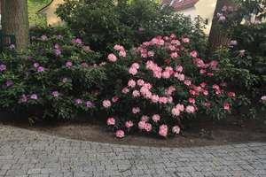 TOP-Villenanwesen in bester Lage von Alt-Oberneuland – Im Holze 53, 28355 Oberneuland, Bremen – Vorschaubild 41