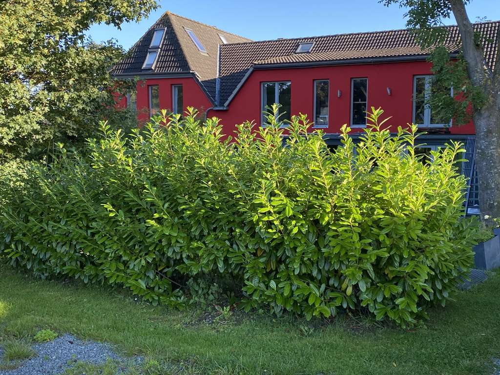 Immobilie in Dänischenhagen - Moderne Ferien-/Wohnung, 60 m², 1 Zimmer,  in Mitten der Natur, 1 km Entfernung zum Strand - Bild 1