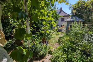 Für die kleine Familie: Reihenmittelhaus mit schattiger Weinlaube und hübschem Gärtchen! – Die vollständige Adresse der Immobilie erhältst du vom Anbieter., 70327 Untertürkheim (Ortsteil), Stuttgart – Vorschaubild 26