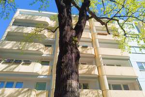 Bezugsfrei mit Balkon und Pkw-Stellplatz
-Savignyplatz und Ku´damm im Wielandkiez-