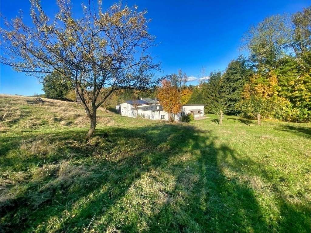 Immobilie in Netzschkau - Anwesen mit vielen Möglichkeiten ! - Bild 1