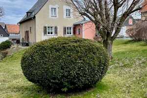 Ein wunderbarer Platz das Leben zu leben – Zwickau (Kreis) – Vorschaubild 3