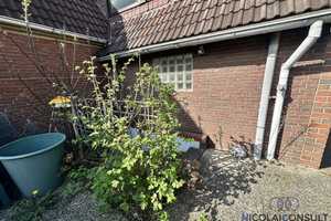 ++ Im Grünen Horn ++ großes EFH Horner Moor ++ U4 Stoltenstraße 250 m ++ – Am Horner Moor 33, 22119 Hamburg – Vorschaubild 12