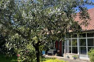 Wunderschönes Einfamilienhaus mit 5 Zimmern in Langerringen – Schützenstr 3, 86853 Langerringen – Vorschaubild 8