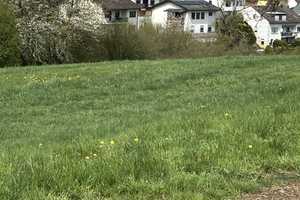 Günstiges 6-Raum-Einfamilienhaus in Trier Kernscheid – Trier – Vorschaubild 7