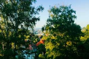 Stilvolle, helle 2-Zimmer-Wohnung  am Killesberg 
