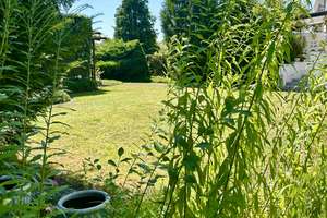 Vintage-Charme mit Herz & Seele: Gemütliches Eckhaus zum Verlieben mit 735 m² Traumgarten! – Die vollständige Adresse der Immobilie erhältst du vom Anbieter., 33100 Kernstadt, Paderborn – Vorschaubild 3