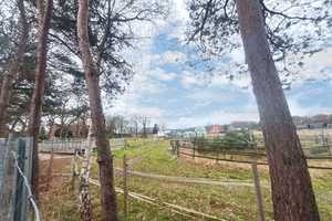 Charmanter Resthof in fast Alleinlage – Wohnen, Leben, Arbeiten im Einklang mit der Natur – Emsland (Kreis) – Vorschaubild 15