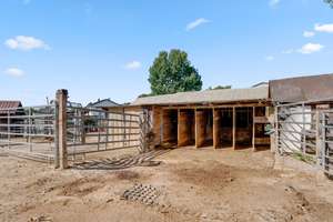 Idyllisches Reitanwesen! Zweifamilienhaus mit Nebengebäuden, Offenstall und Reitplatz – Die vollständige Adresse der Immobilie erhältst du vom Anbieter., 95506 Kastl – Vorschaubild 10