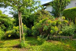 Schickes Haus mit Garten, eingerichteter Küche u. neuem Bad – Großsachsen, Birkenstraße 15, 69493 Hirschberg an der Bergstraße – Vorschaubild 21