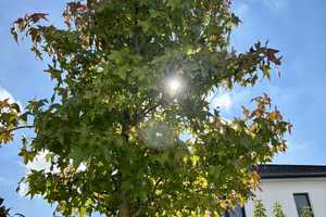 Modernes Einfamilienhaus mit großzügigem Garten in Ober-Olm – Mainz-Bingen (Kreis) – Vorschaubild 10