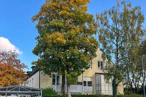 Bezugsfreie 3-Zimmer-Wohnung im 1. Obergeschoss – Die vollständige Adresse der Immobilie erhältst du vom Anbieter., 81735 Ramersdorf, München – Vorschaubild 2