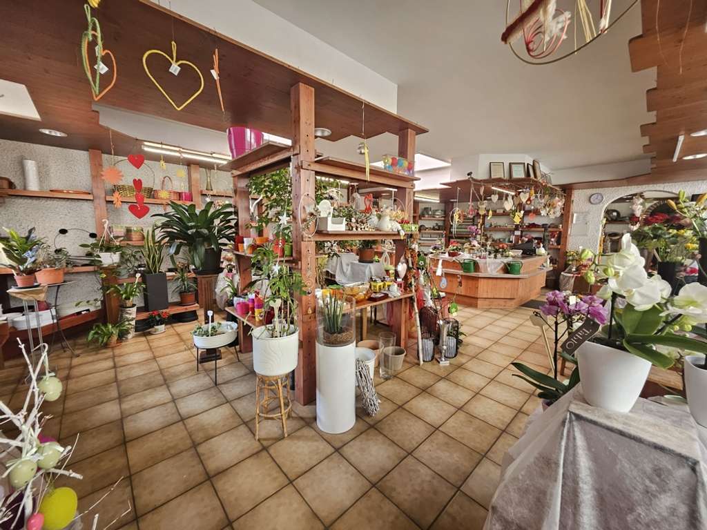 Immobilie in Elmstein - Wohnhaus- und Geschäftshaus mit großem Grundstück im Gewerbegebiet Elmstein - Bild 1