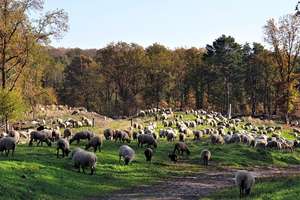 Property thumbnail 51