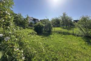 Neubau Einfamilienhaus in Balgheim – Die vollständige Adresse der Immobilie erhältst du vom Anbieter., 78582 Balgheim – Vorschaubild 6