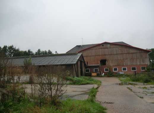 Bauernhaus & Landhaus Steinburg (Kreis) - ImmobilienScout24