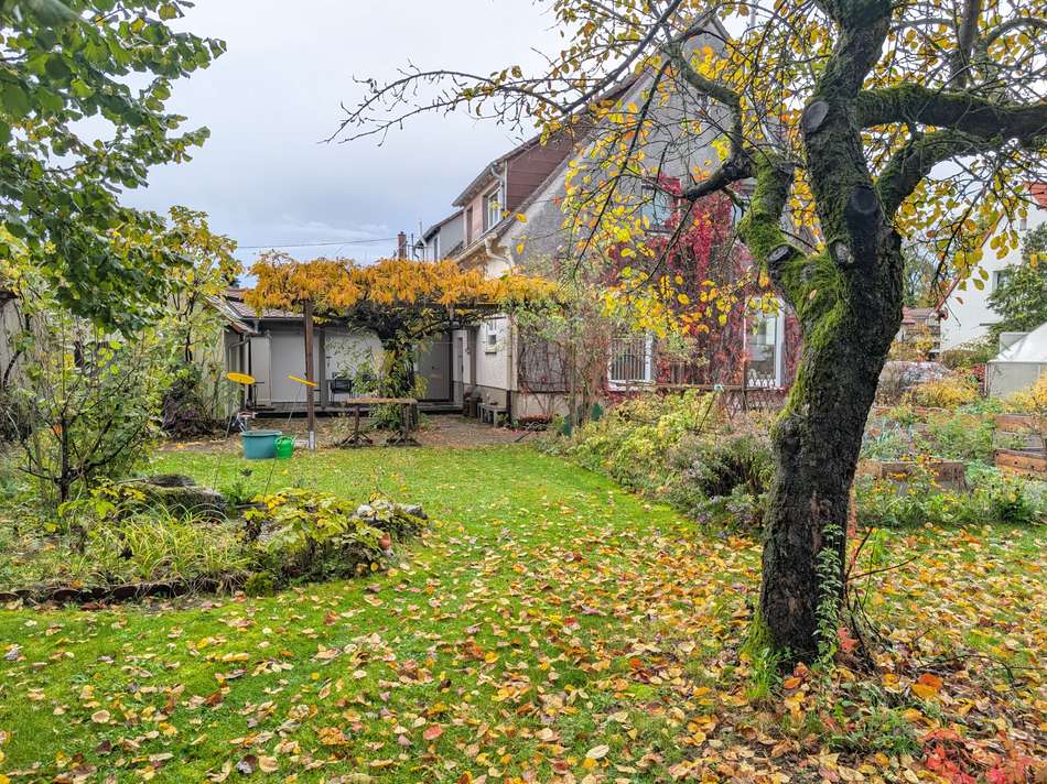 Garten Blickrichtung Terrasse