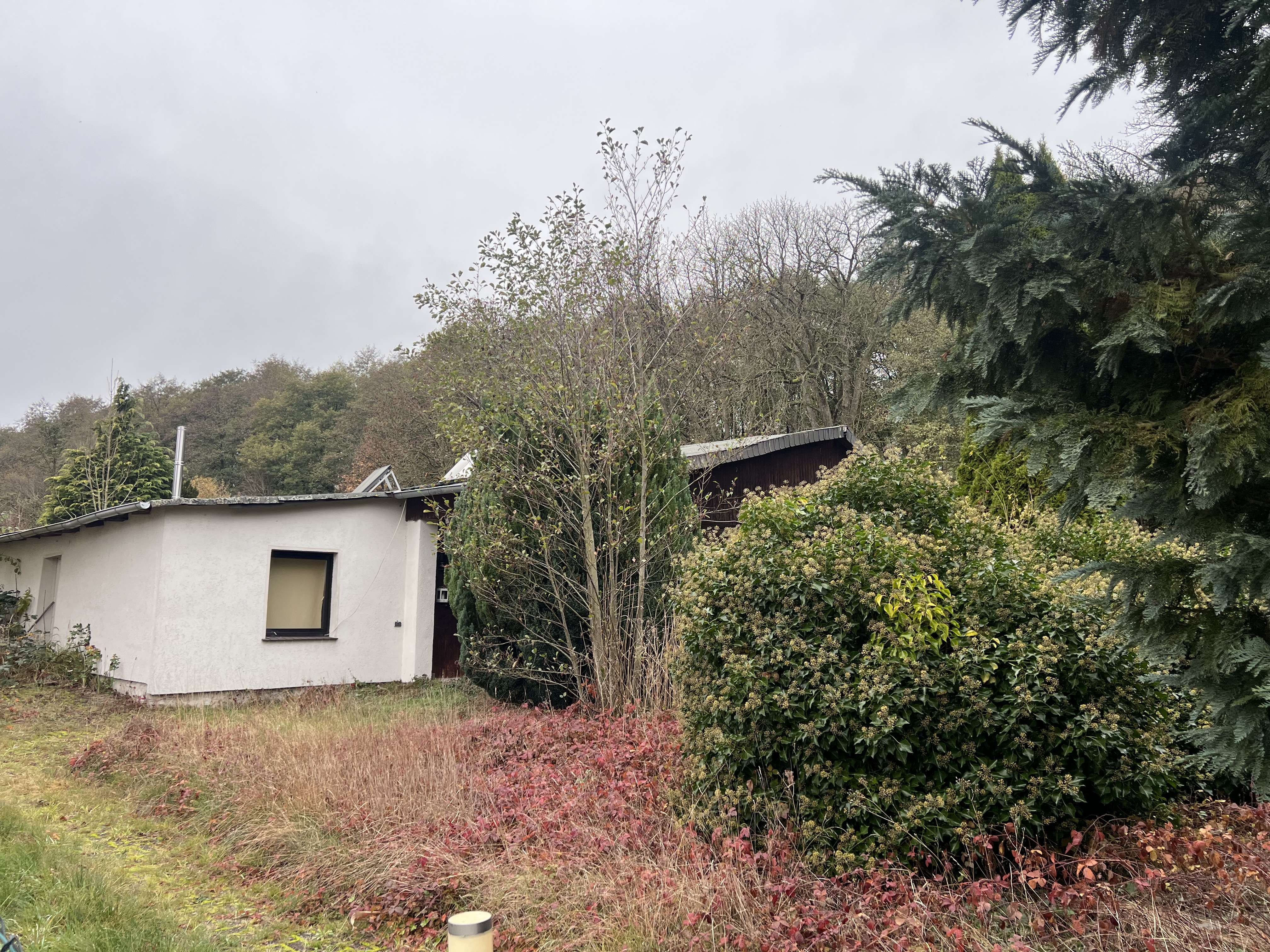 Bungalow mit großem Grundstück in Nieps/ Rohrberg Umkreis Salzwedel, Altmarkkreis Salzwedel – Bild 1