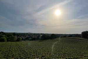 Im eigenen Haus am Weinberg – Am Weinberg 6, 14542 Werder (Havel) – Vorschaubild 6