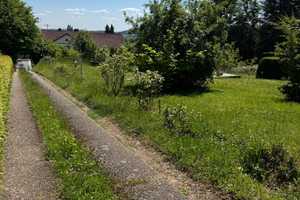 Merzig-Harlingen: Großzügiges Einfamilienhaus in ruhiger Lage mit riesigem Grundstück – Merzig-Wadern (Kreis) – Vorschaubild 7