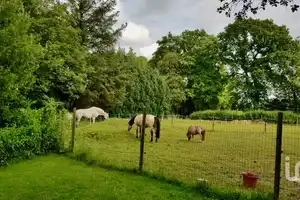 "Einzigartiges Landhaus in Schirum mit Weide – Ein Platz für Naturfreunde und Tierliebhaber" – Aurich (Kreis) – Vorschaubild 8