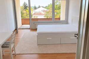 Möbliertes Apartment mit Balkon, neuer Küche & Stellplatz // Koblenz-Karthause (Hochschulnah) 