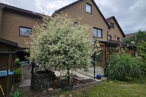 Property thumbnail 10