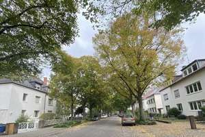 Helle 3 ZKB DG-Wohnung im gepflegtem Mehrfamilienhaus nahe des Stadtpark "Parkinsel" – 67061 Süd, Ludwigshafen am Rhein – Vorschaubild 21