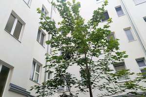 Renoviert und bezugsfreie Altbauwohnung
-nahe Schloss Charlottenburg - – Die vollständige Adresse der Immobilie erhältst du vom Anbieter., 10589 Charlottenburg, Berlin – Vorschaubild 1