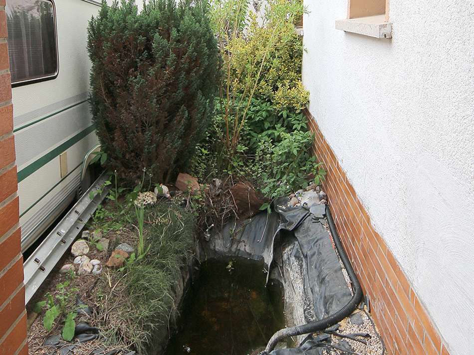 alter Teich