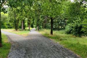 Wunderschöne 2-Zimmer-Wohnung mit eigenem Gartenhof im Terrassenhaus Hannover – 30455 Davenstedt, Hannover – Vorschaubild 12