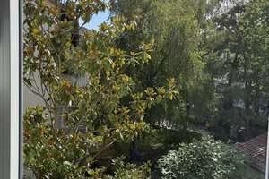 2-Zimmer-Wohnung in Heidelberg-Neuenheim – 69120 Neuenheim, Heidelberg – Vorschaubild 18